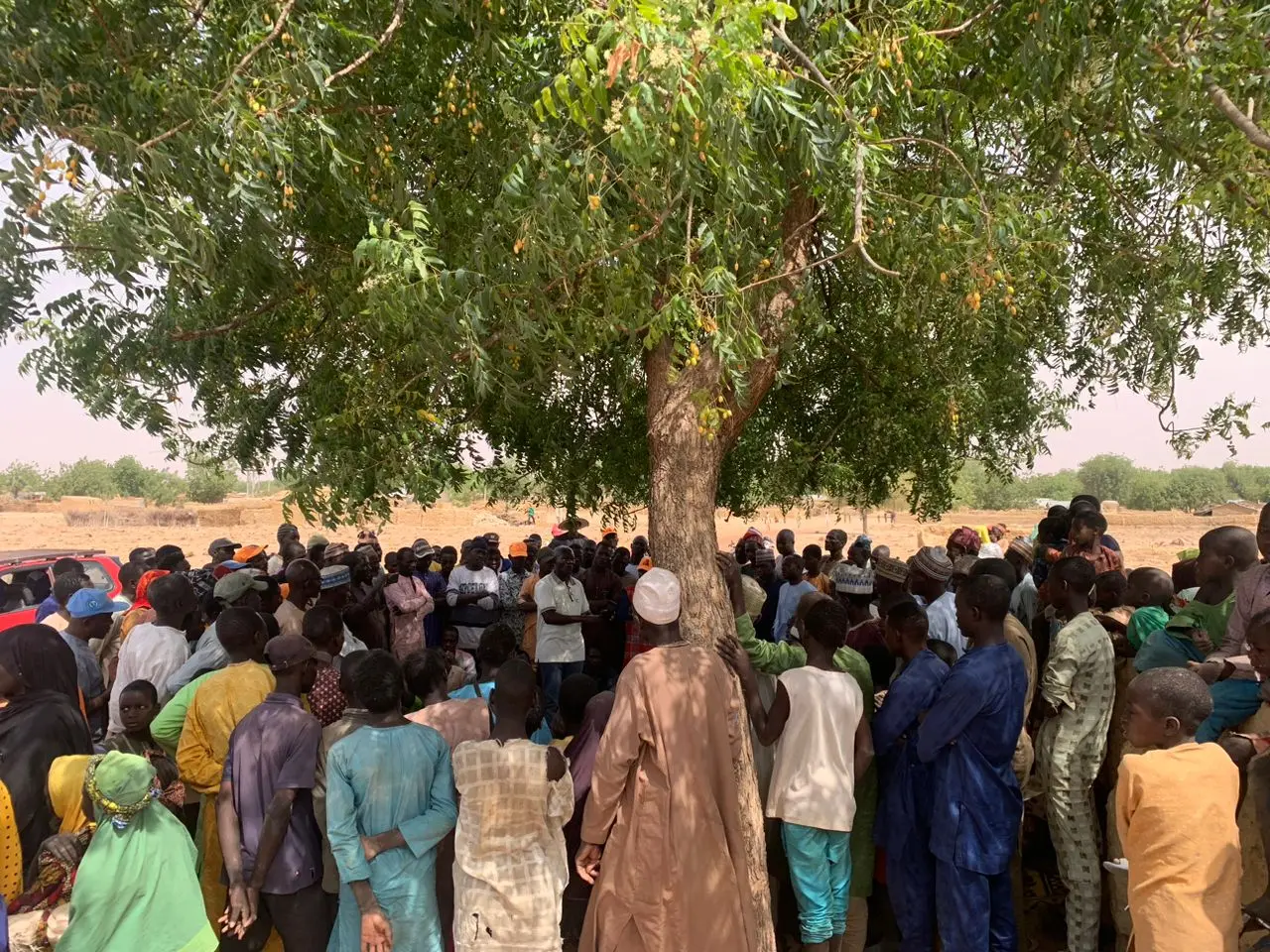A large community gathering under a tree during a Go Green Nigeria Foundation visit